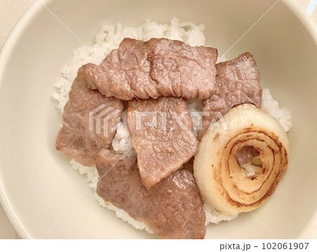 牛モモ肉焼肉丼（国産牛肉・黒潮牛） 写真素材 102061907