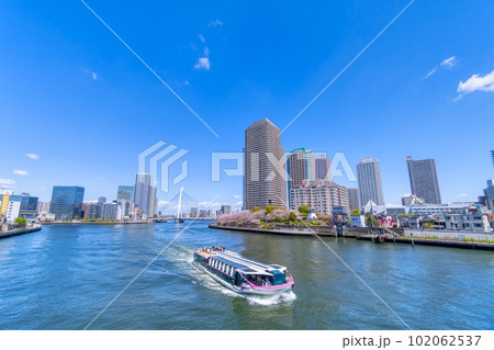 春の東京 中央大橋と隅田川の桜 春の東京 中央大橋と隅田川の桜 102062537