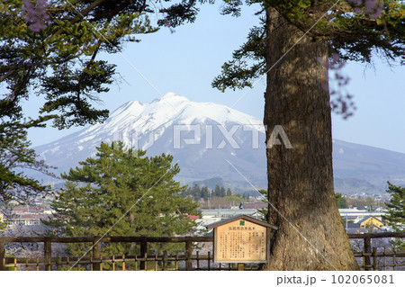 春の朝 弘前城本丸から岩木山を望む 青森県 春の朝 弘前城本丸から岩木山を望む 青森県 102065081
