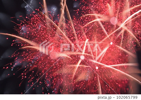 アート花火（長野えびす講煙火大会） 102065799