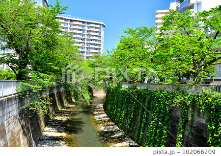 亀齢橋／神田川より下流方向を望む(東京都新宿区)【2023.4】 102066209