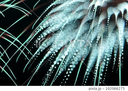 アート花火(長野えびす講煙火大会) アート花火(長野えびす講煙火大会) 102066275