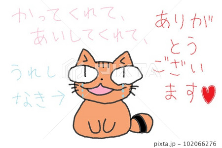 目が大きい猫のありがとうございます。 目が大きい猫のありがとうございます。 102066276