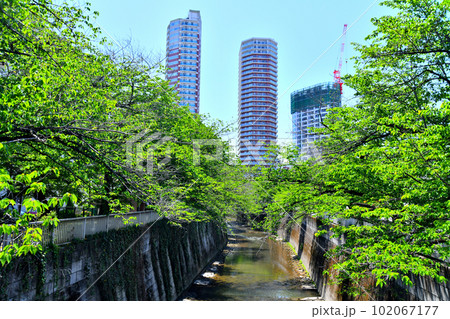 南小滝橋/神田川より上流方向を望む(東京都新宿区)【2023.4】 南小滝橋/神田川より上流方向を望む(東京都新宿区)【2023.4】 102067177