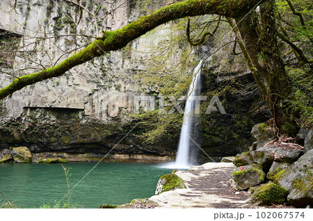 阿蘇の火砕流で形成された穴の開いたような独特の滝、うのこの滝 阿蘇の火砕流で形成された穴の開いたような独特の滝、うのこの滝 102067574