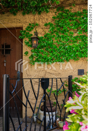 住宅の玄関と蔦の這った壁 102067714