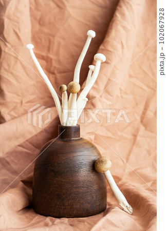 Mushrooms aesthetic. Enokitake and shimeji mushrooms as flowers, creative still life. 102067928
