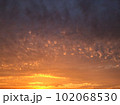 オレンジ色の夕焼けの写真。海辺 102068530