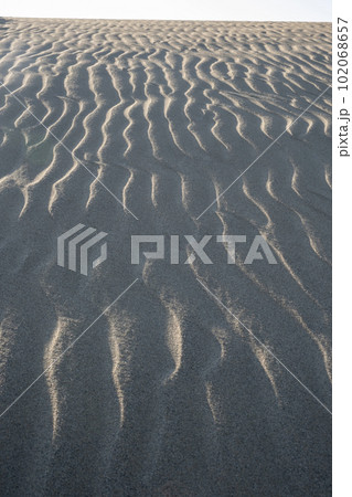 砂嵐で出来た風紋（鳥取砂丘） 102068657