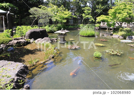 西新井大師　弁天堂のある池 102068980