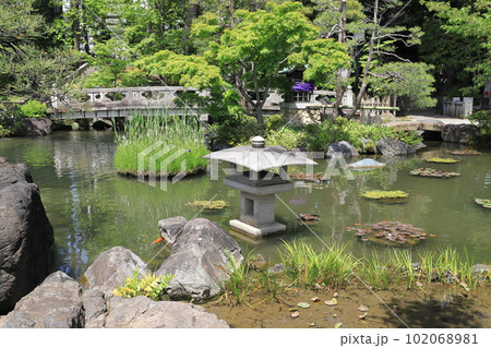 西新井大師　弁天堂のある池 102068981