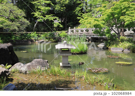 西新井大師　鯉の泳ぐ池 102068984