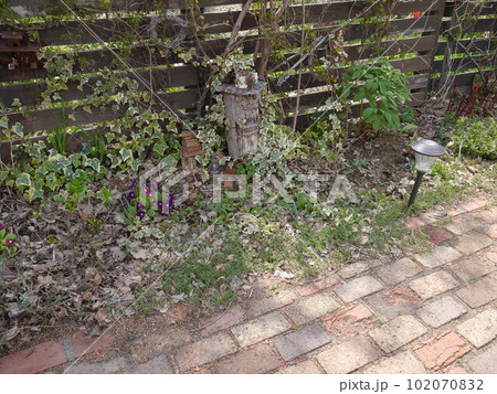 緑が濃くなり始めた四月の庭 102070832