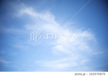 夏の空 【東京都】 102070870