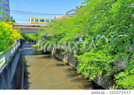 万亀橋／神田川より下流方向を望む(東京都新宿区)【2023.4】 102071437