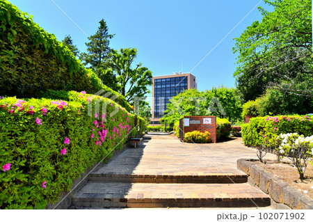 せせらぎの里公苑周辺(東京都新宿区)【2023.4】 102071902