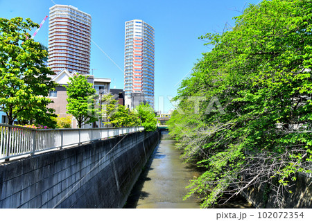 新開橋／神田川より下流方向を望む(東京都新宿区)【2023.4】 102072354