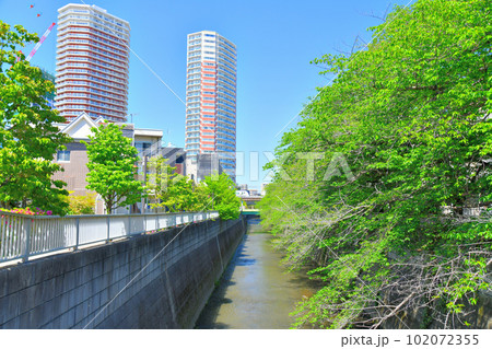 新開橋/神田川より下流方向を望む(東京都新宿区)【2023.4】 新開橋/神田川より下流方向を望む(東京都新宿区)【2023.4】 102072355