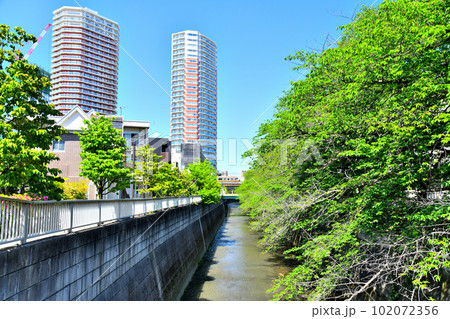 新開橋／神田川より下流方向を望む(東京都新宿区)【2023.4】 102072356