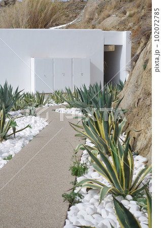 アメリカンアロエに囲まれたミコノス島の遊歩道 102072785