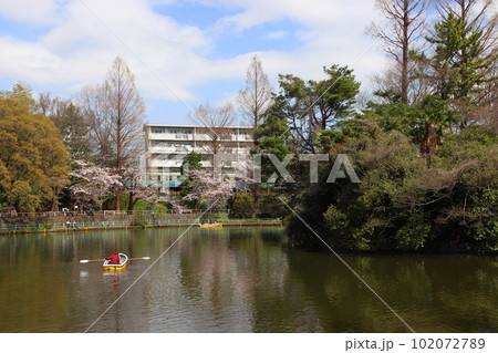 春の武蔵関公園と西武新宿線（東京都練馬区／西東京市） 102072789