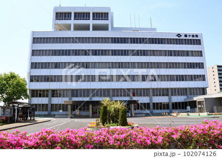 鎌ケ谷市役所とツツジ 千葉県鎌ケ谷市新鎌ケ谷2丁目 鎌ケ谷市役所とツツジ 千葉県鎌ケ谷市新鎌ケ谷2丁目 102074126