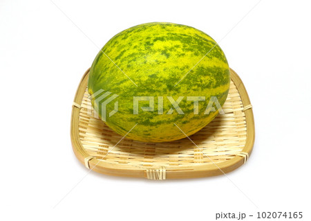 パパイヤメロン 102074165