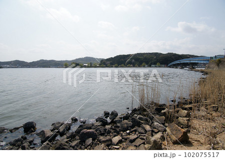 鳥取 四季の散歩 春 青島 鳥取 四季の散歩 春 青島 102075517
