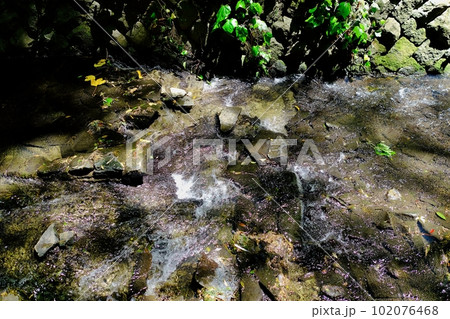 等々力渓谷の川を流れる水 等々力渓谷の川を流れる水 102076468