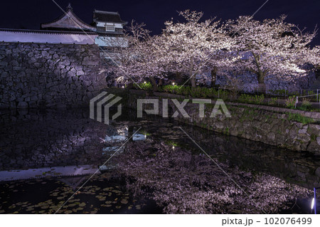 潮見櫓と下之橋とライトアップされた桜 潮見櫓と下之橋とライトアップされた桜 102076499