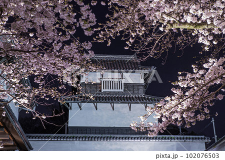 潮見櫓とライトアップされた桜 潮見櫓とライトアップされた桜 102076503