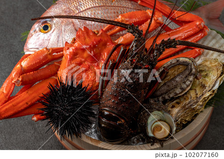 高級魚介の盛り合わせ 高級魚介の盛り合わせ 102077160