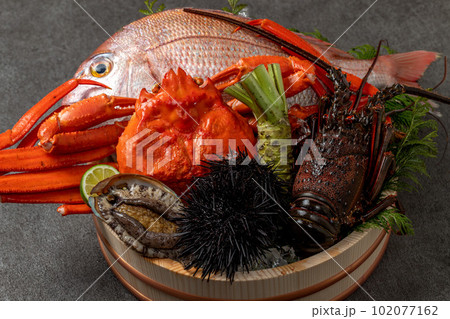 高級魚介の盛り合わせ 102077162