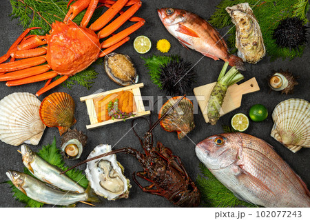 和食の魚介類 和食の魚介類 102077243