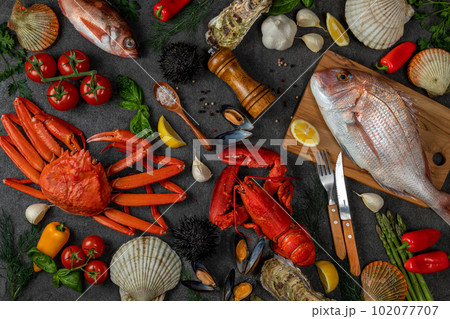 新鮮な魚介類 102077707