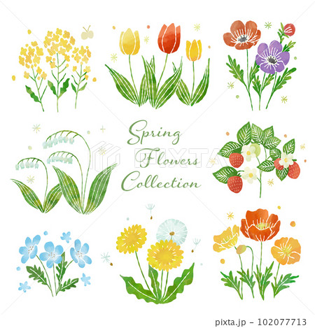 Spring Flowres Collection Spring Flowres Collection 102077713