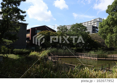 大田区　平和の森公園 102077952