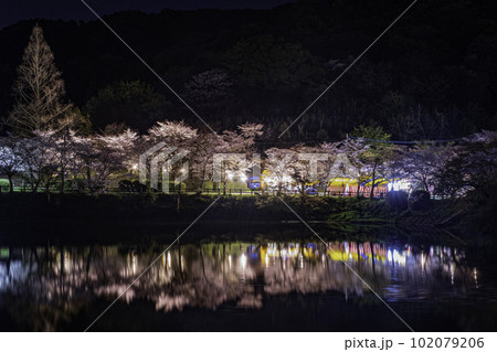 甘木公園の丸山池と夜桜 甘木公園の丸山池と夜桜 102079206