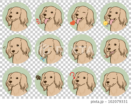 臘腸犬面部表情圖標集（長大衣，奶油色） 102079331