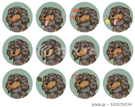 ダックスフンドの表情アイコンセット(ロングコート、シルバーダップル) ダックスフンドの表情アイコンセット(ロングコート、シルバーダップル) 102079334