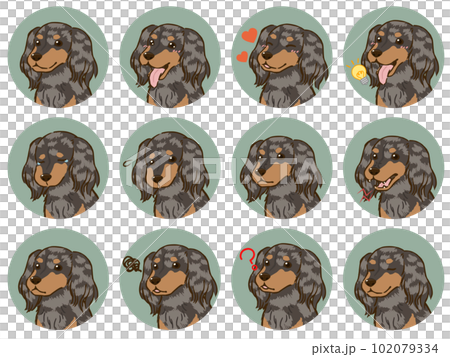 臘腸犬面部表情圖標集(長大衣,銀色斑紋) 臘腸犬面部表情圖標集(長大衣,銀色斑紋) 102079334