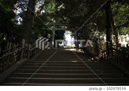 渋谷氷川神社 102079539