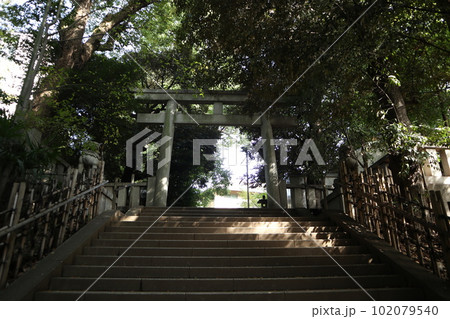 渋谷氷川神社 102079540