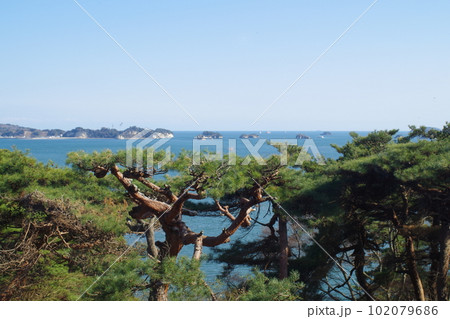 松島湾岸回廊双観山からの景色 松島湾岸回廊双観山からの景色 102079686