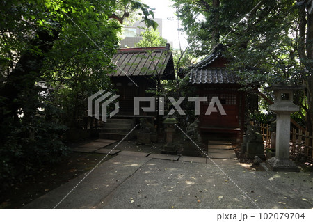 渋谷氷川神社 102079704