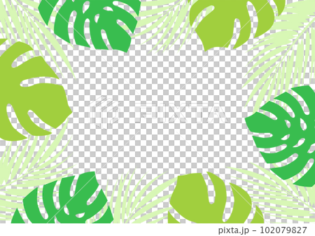 tropical leaf frame green tropical leaf frame green 102079827