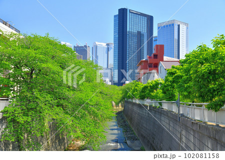末広橋/神田川より上流方向を望む(東京都新宿区)【2023.4】 末広橋/神田川より上流方向を望む(東京都新宿区)【2023.4】 102081158