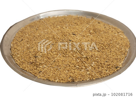 Organic wheat seeds on silver plate. Close-up view. Selective focus. 102081716
