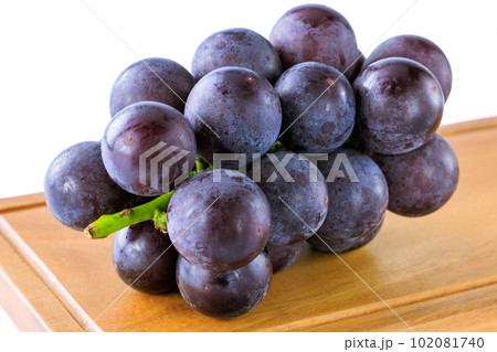 熟した葡萄　巨峰 102081740