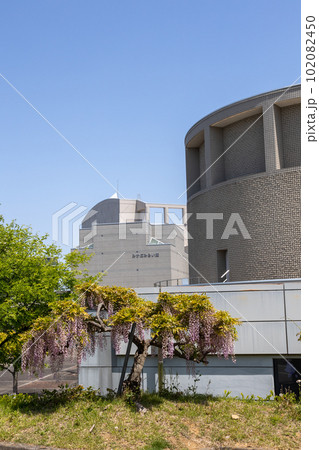 ふじの咲く丘 藤岡市みかぼみらい館 群馬県 ふじの咲く丘 藤岡市みかぼみらい館 群馬県 102082450